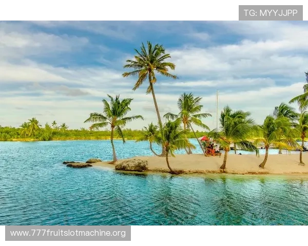老虎机官网首页入口海岛带你领略最真实的热带海岛风光与刺激的博彩娱乐体验